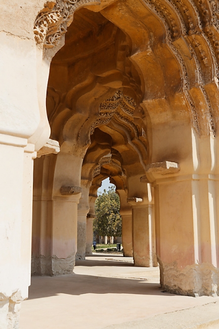 Hampi-Palais du lotus-016